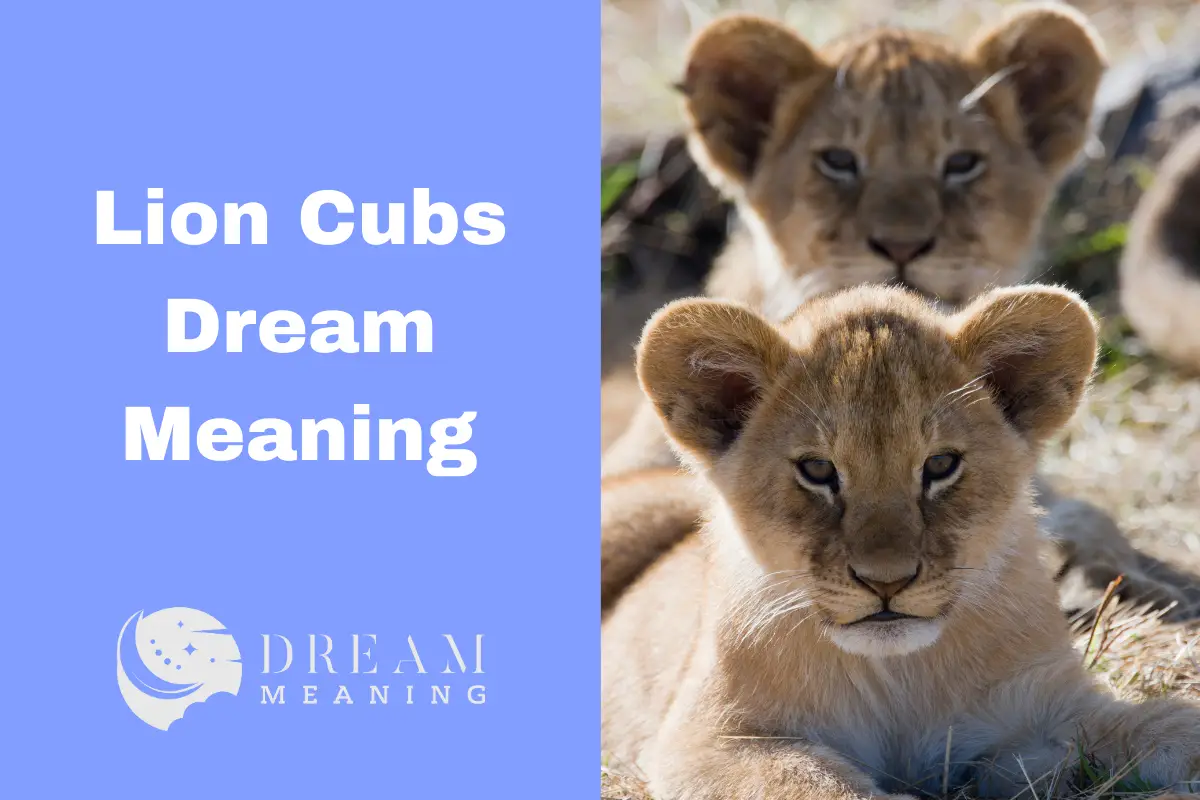 Lion Cubs Dream Meaning What Does It Mean When You Dream of Lion Cubs