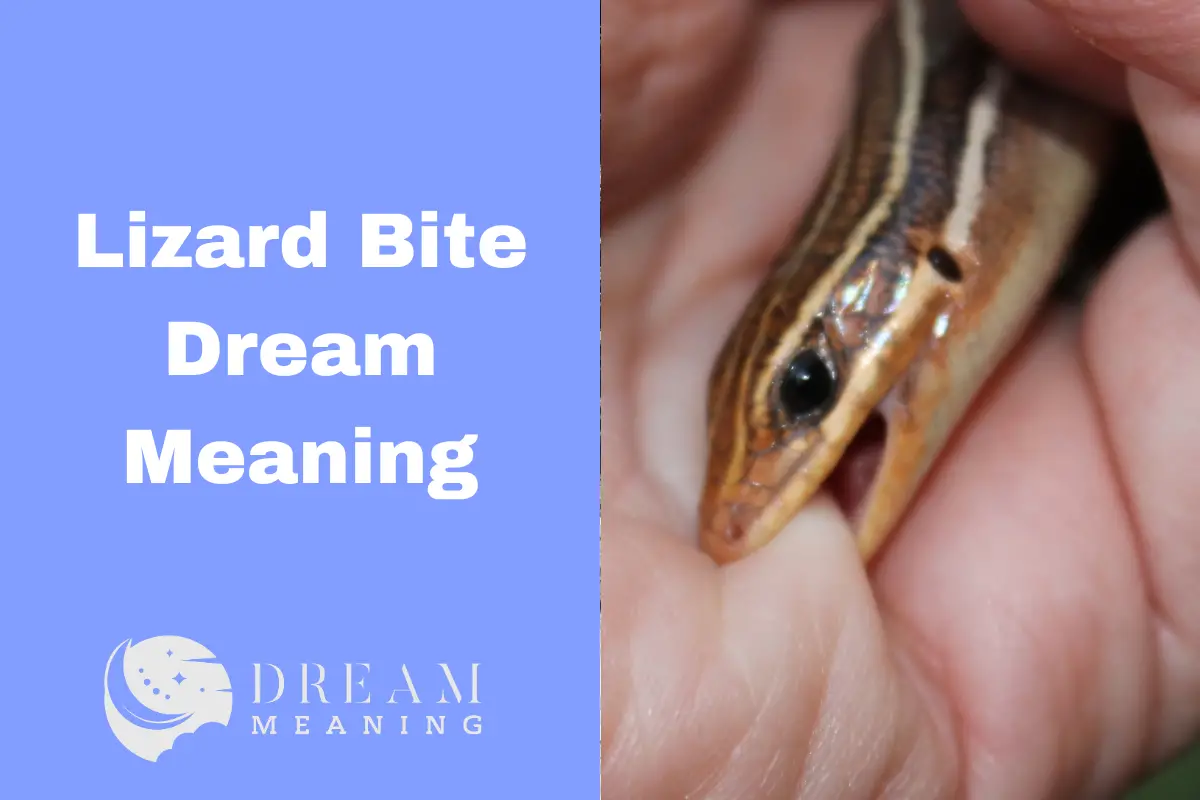 Lizard Bite Dream Meaning: Deciphering What It Really Signifies - The