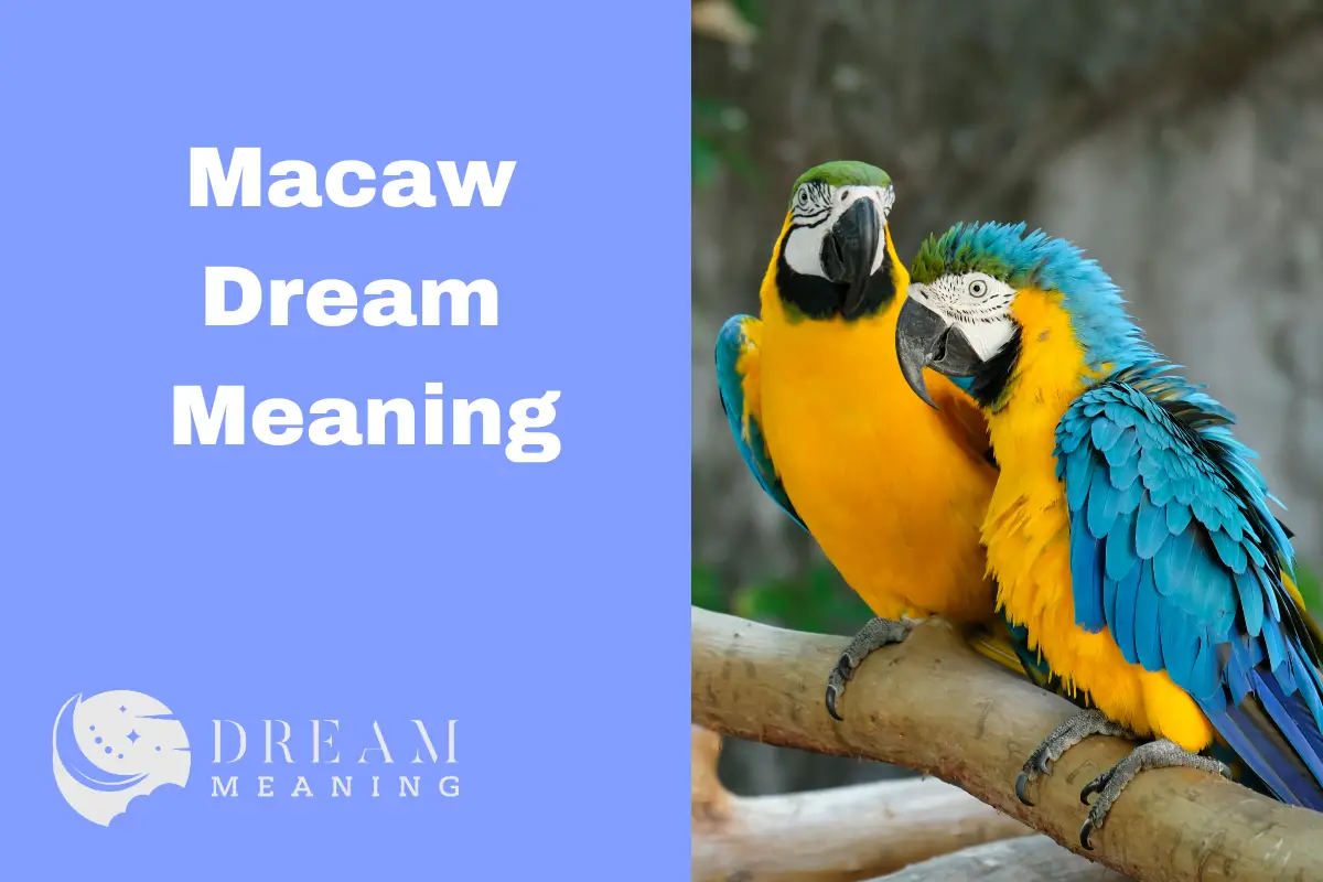 Macaw Dream Meaning