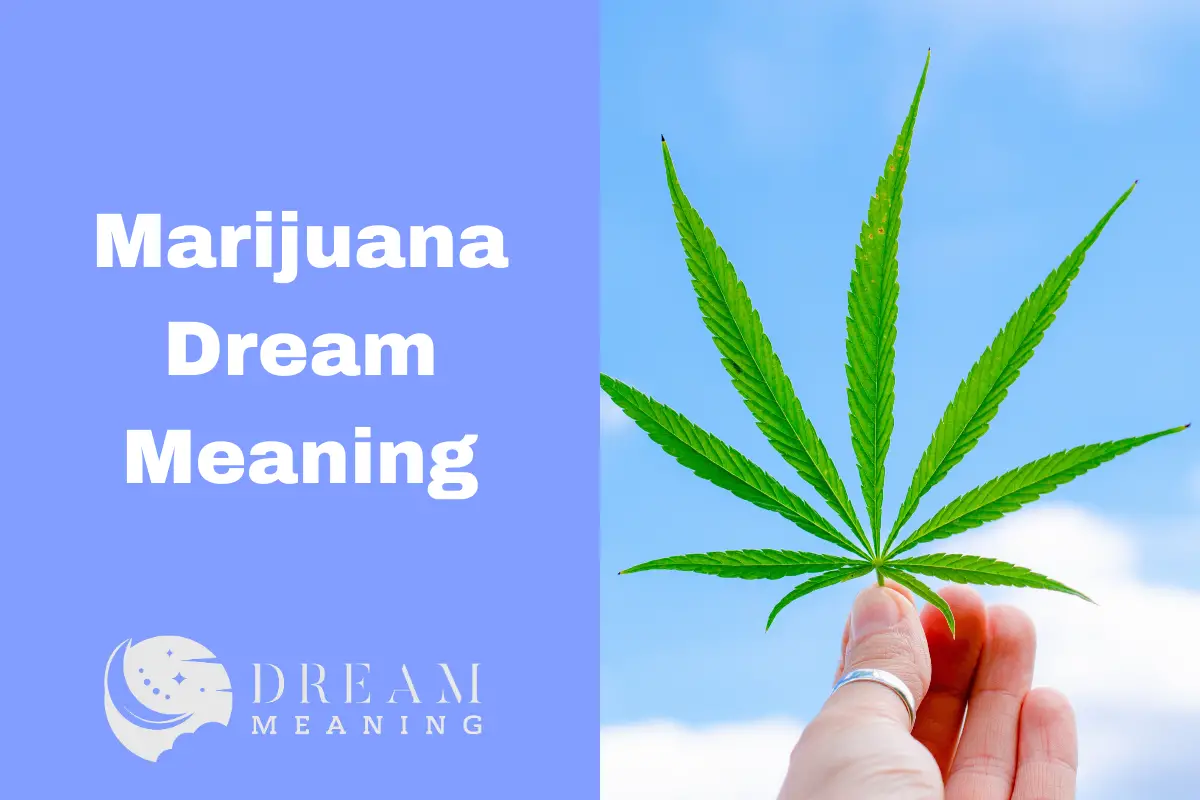 marijuana-dream-meaning-what-does-it-mean-to-dream-about-weed-the