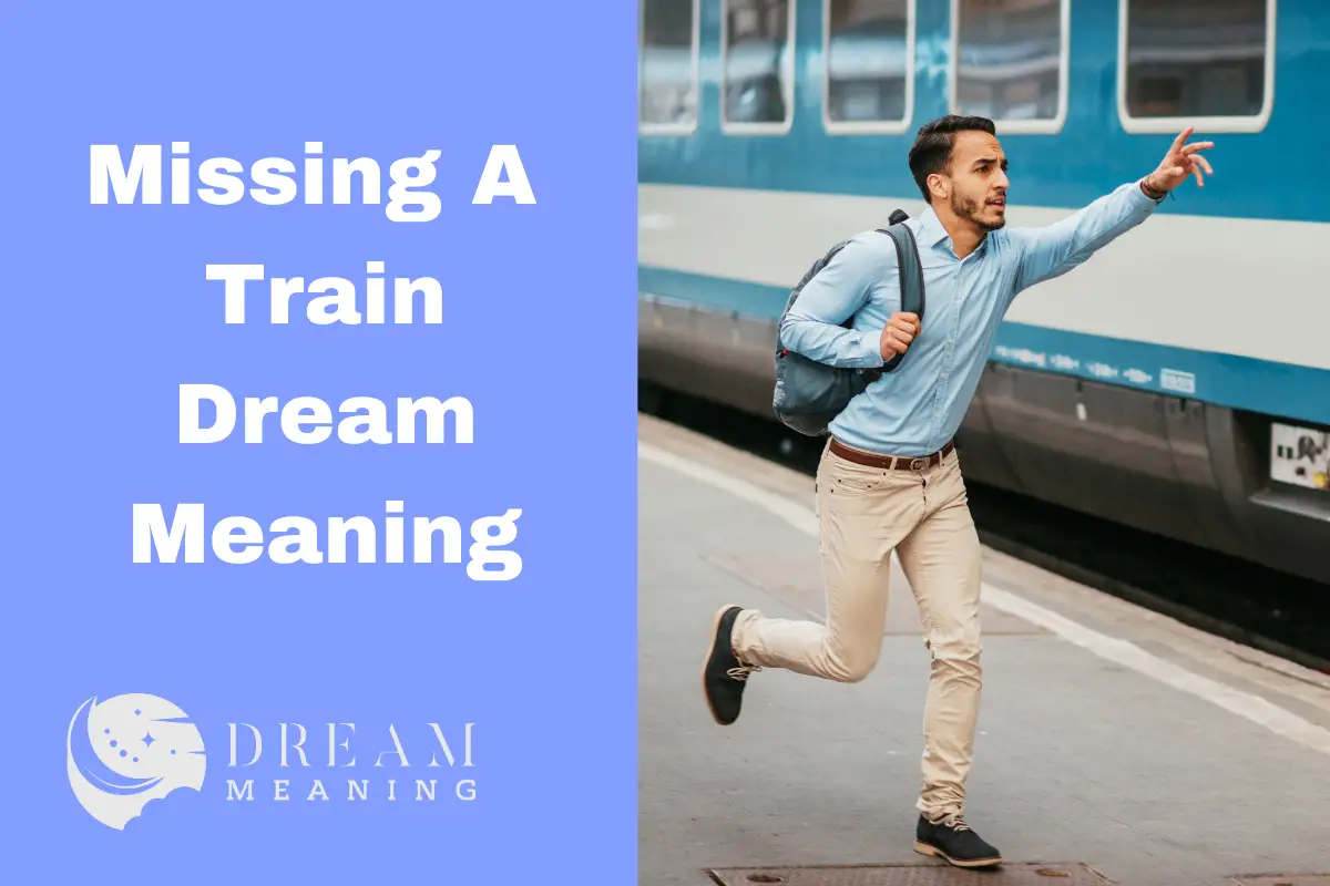 What Does It Mean When You Dream Of Missing A Train