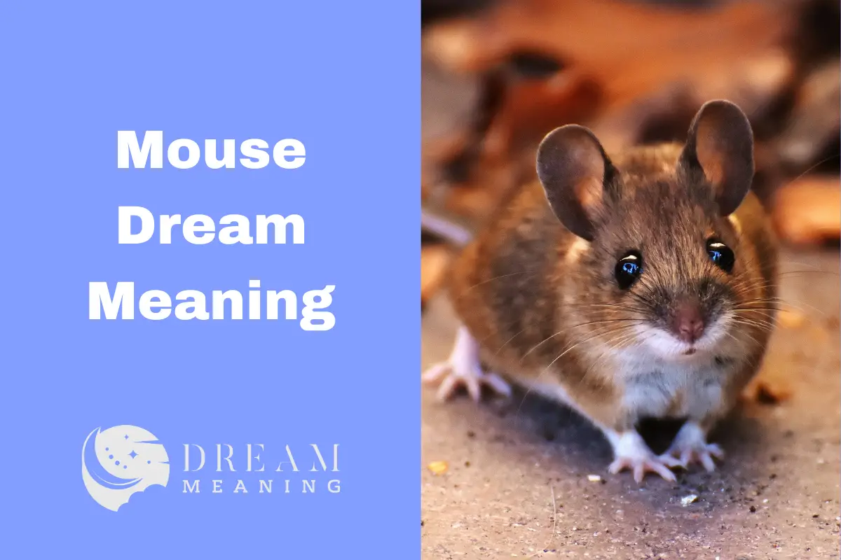 Dream Meaning Of A Mouse Uncovering The Hidden Message The Dream Meaning