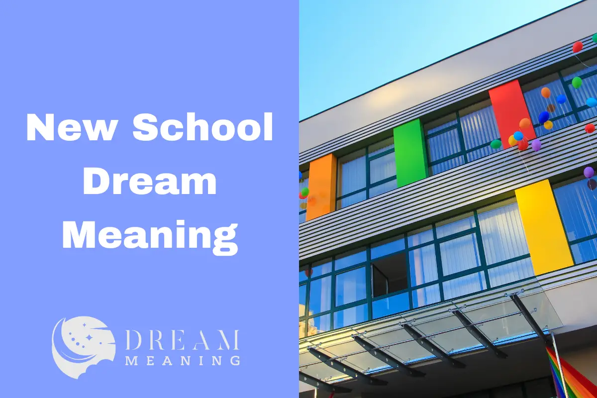 interpreting-the-dream-meaning-of-a-new-school-what-does-it-mean