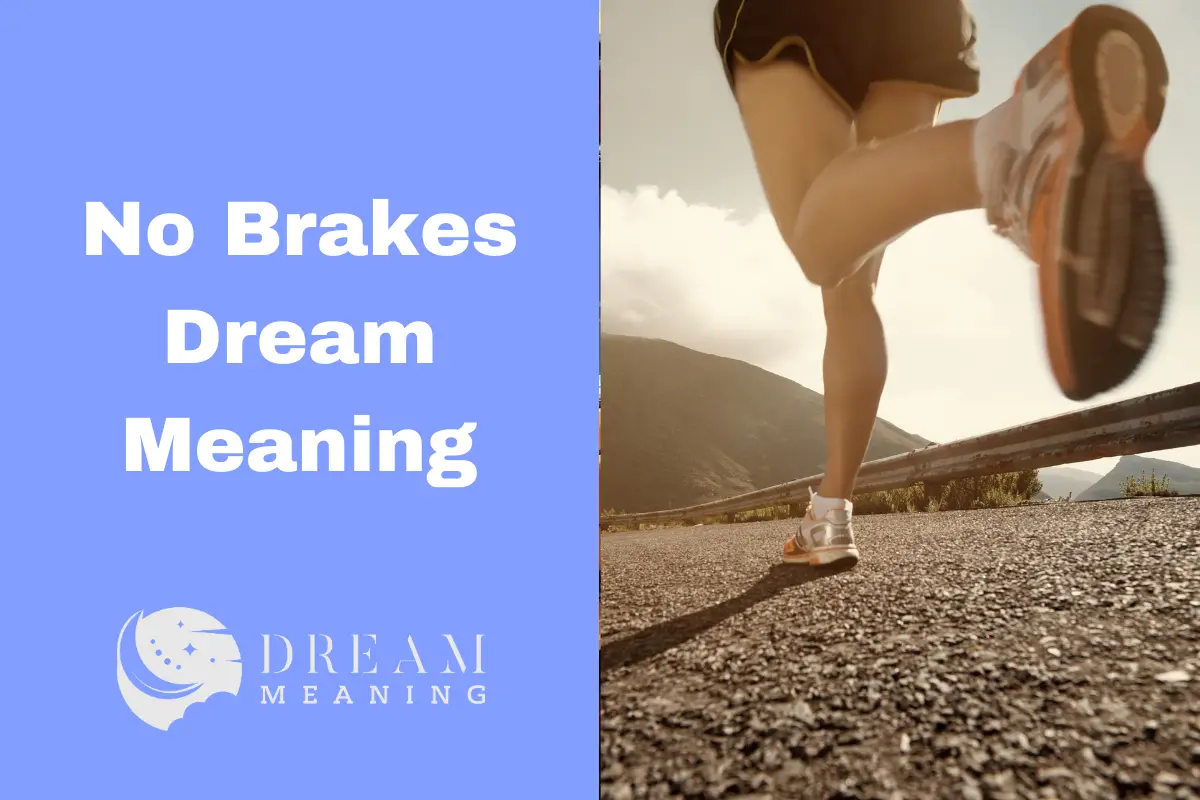 No Brakes Dream Meaning