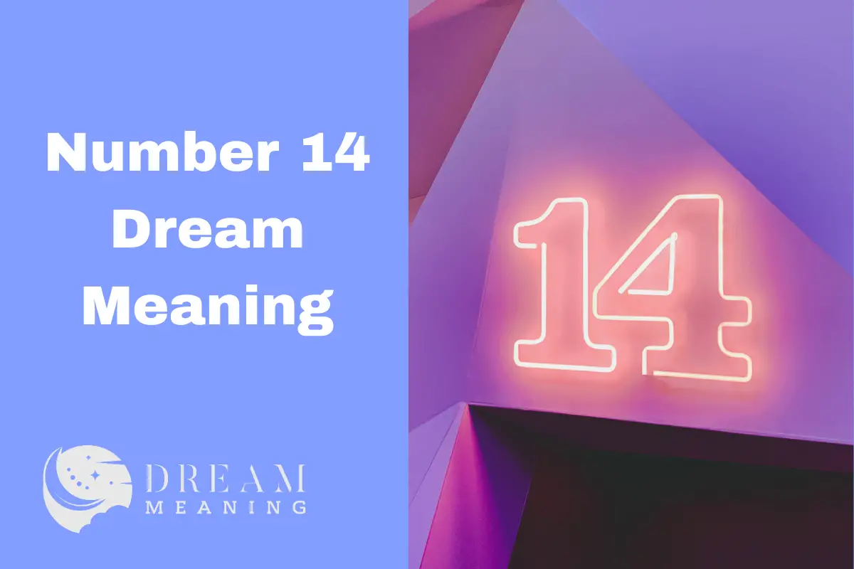 Number 14 Dream Meaning