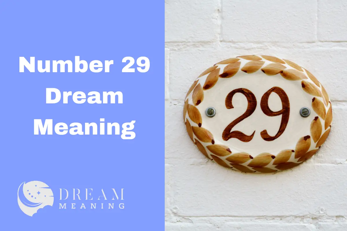 Number 29 Dream Meaning