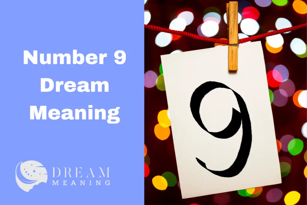 number 9 dream book review