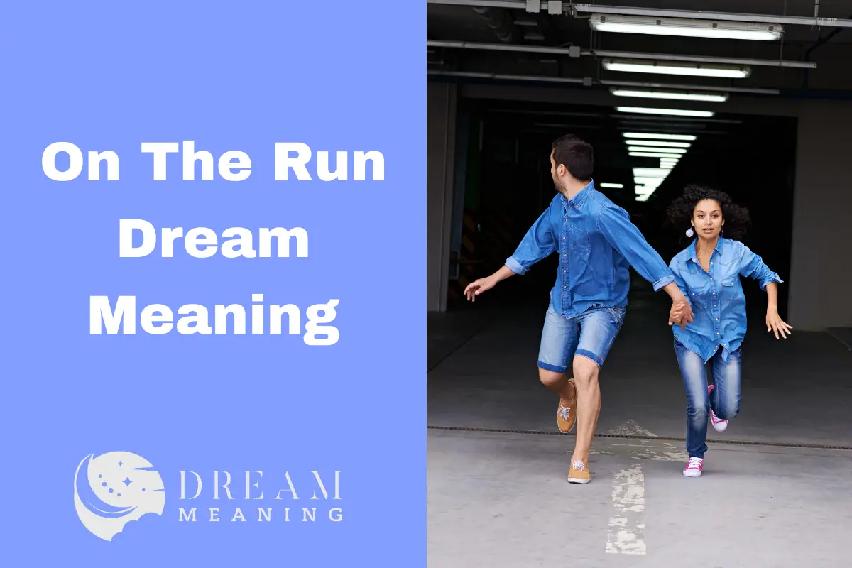 dreaming-about-being-on-the-run-what-does-it-mean-the-dream-meaning