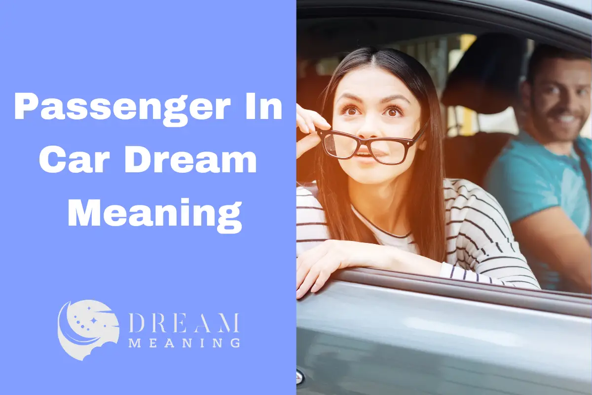 what-does-it-mean-when-you-dream-about-being-a-passenger-in-a-car-the-dream-meaning