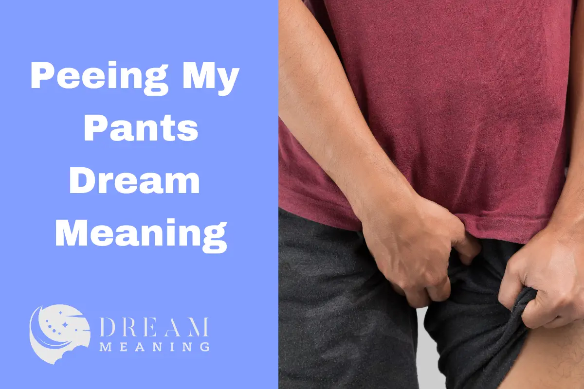 Peeing My Pants Dream Meaning