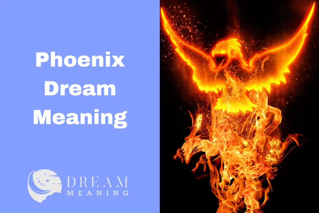 what-does-it-mean-to-dream-of-phoenix-unraveling-the-symbolic-meaning