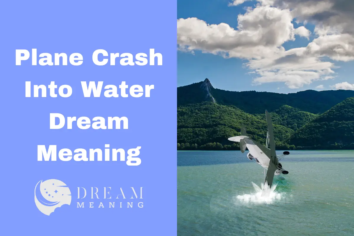 Plane Crash Into Water Dream Meaning