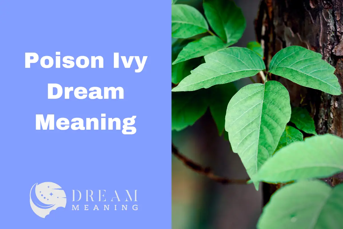 what-does-poison-ivy-mean-in-dreams-exploring-symbolism