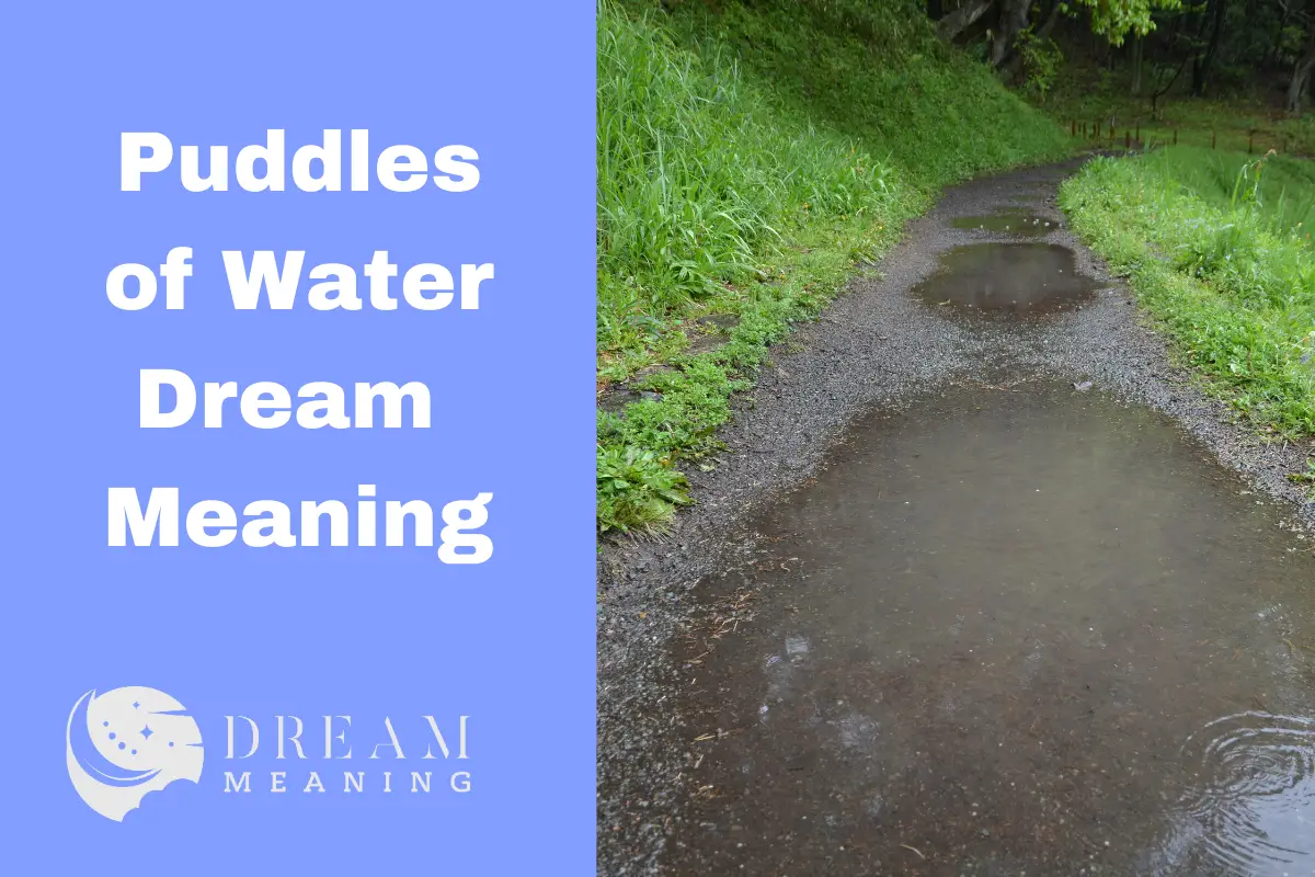 Puddles of Water Dream Meaning