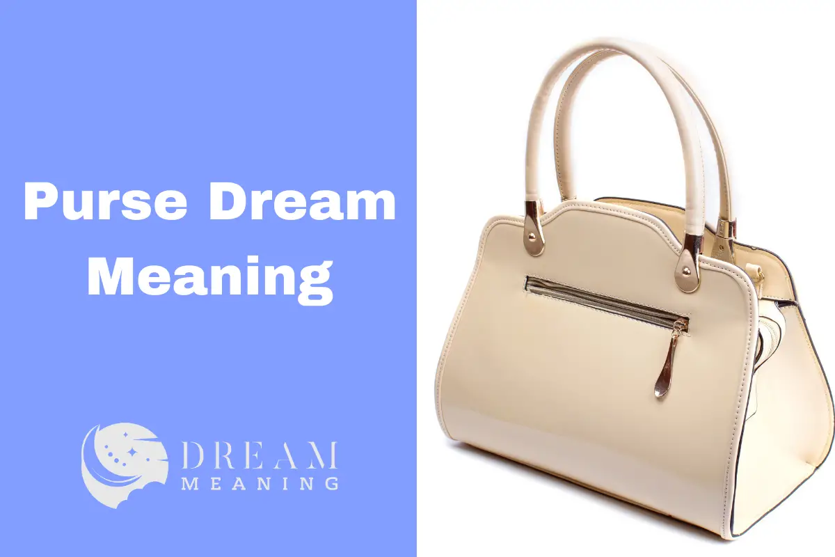 dream-meaning-of-a-purse-what-it-could-mean-for-you-the-dream-meaning