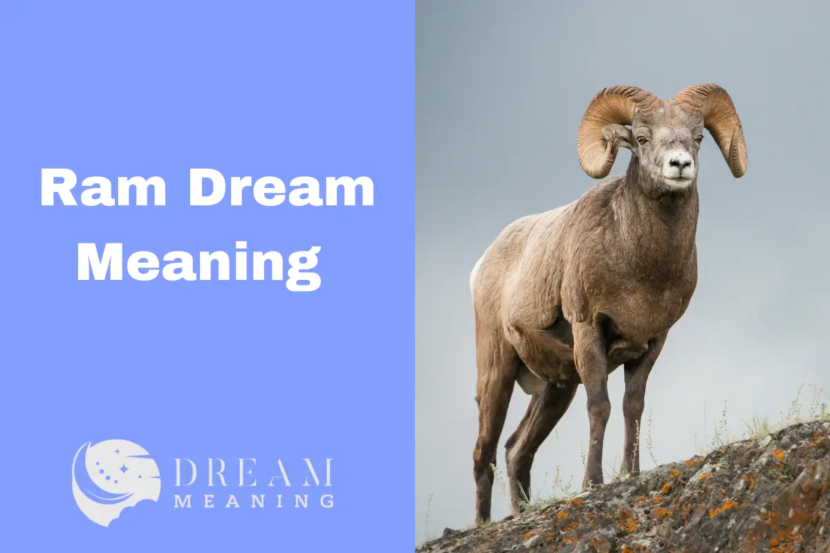 Ram Dream Meaning
