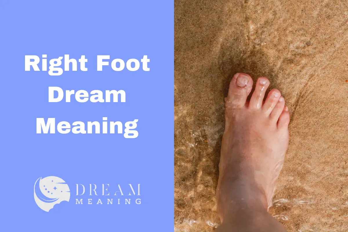 interpreting-right-foot-dream-meaning-what-is-its-significance-the-dream-meaning