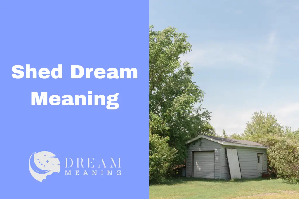Uncovering The Shed Dream Meaning What Does It Reveal About You? The