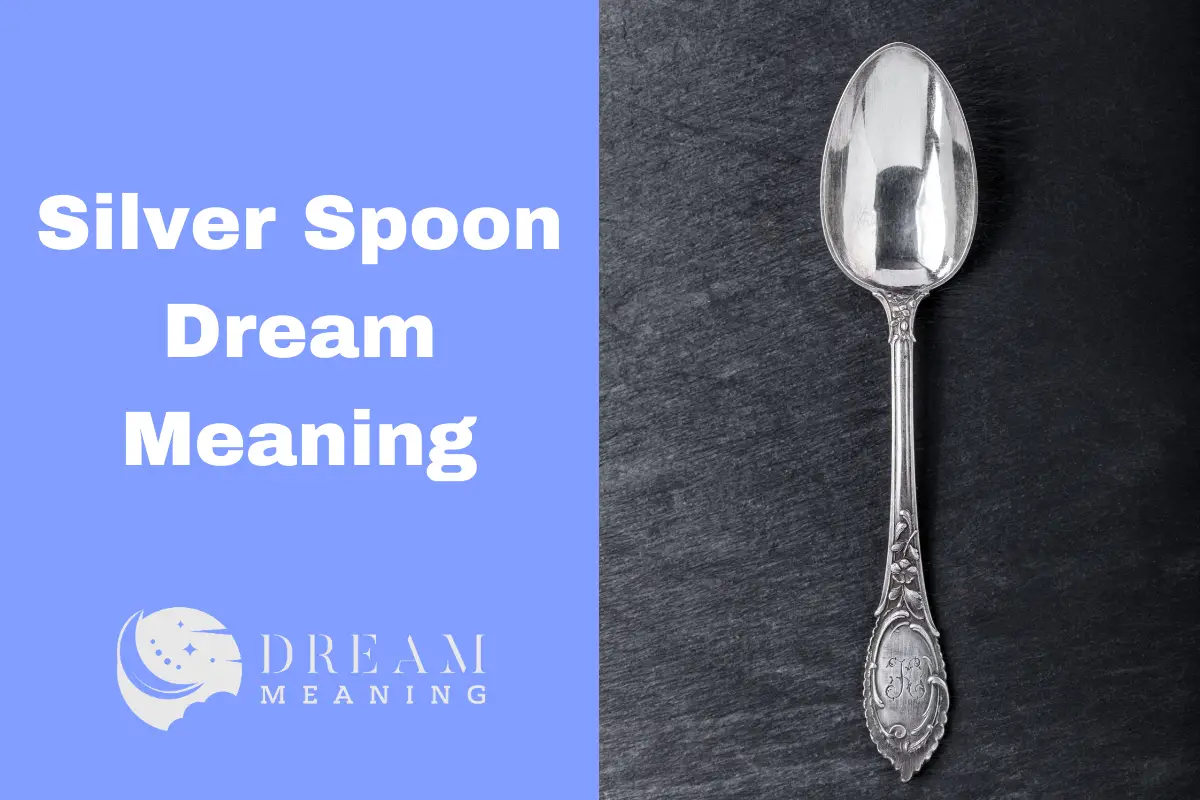 Silver Spoon Dream Meaning