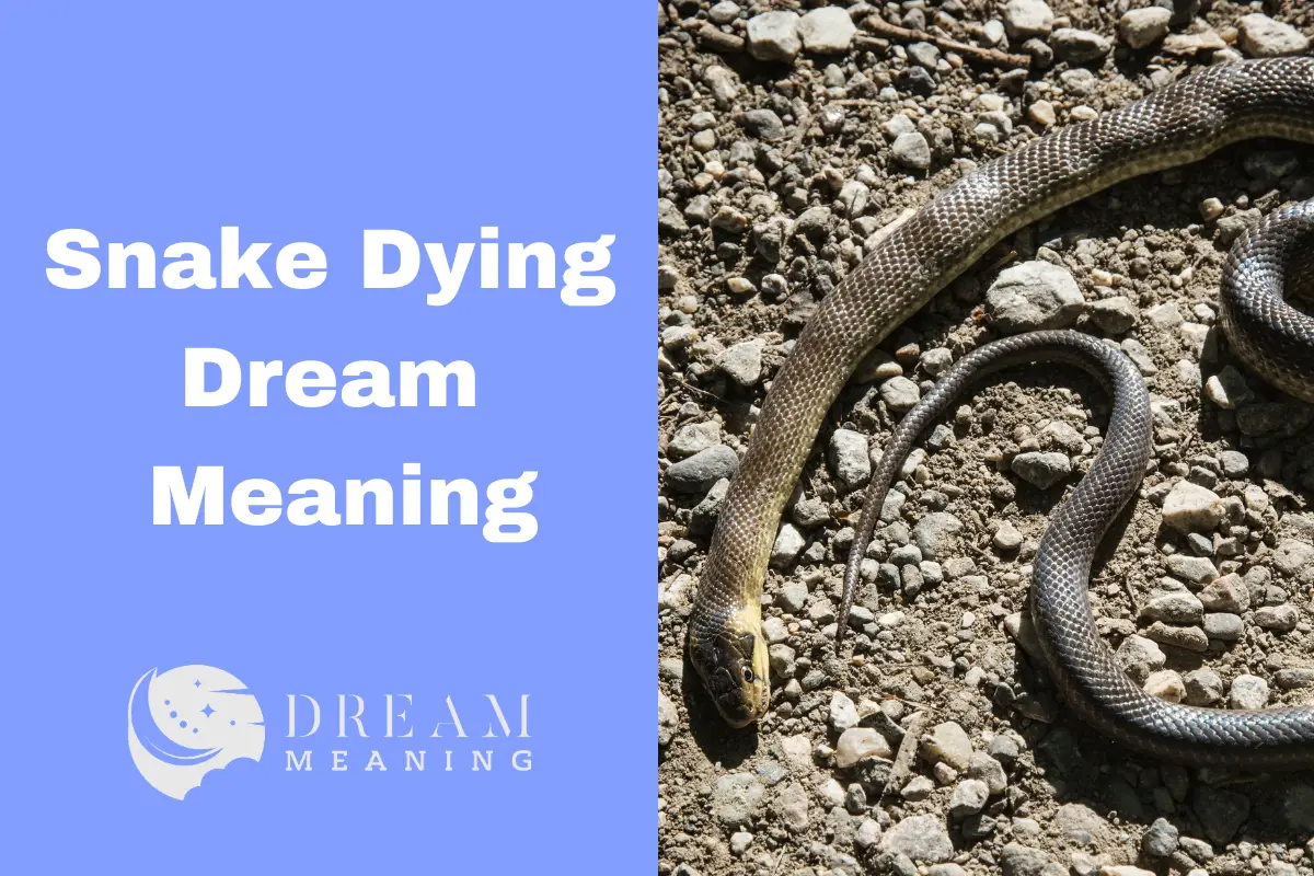 Snake Dying Dream Meaning