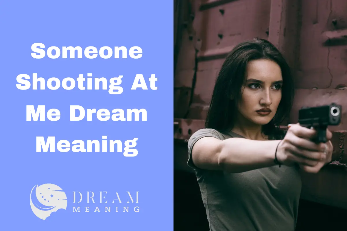 Someone Shooting At Me Dream Meaning What Does It Mean? The Dream Meaning