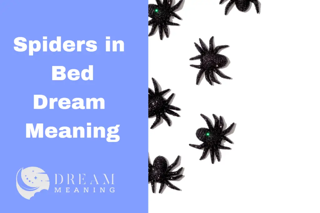 dreaming-of-spiders-in-bed-here-s-the-meaning-behind-it-the-dream