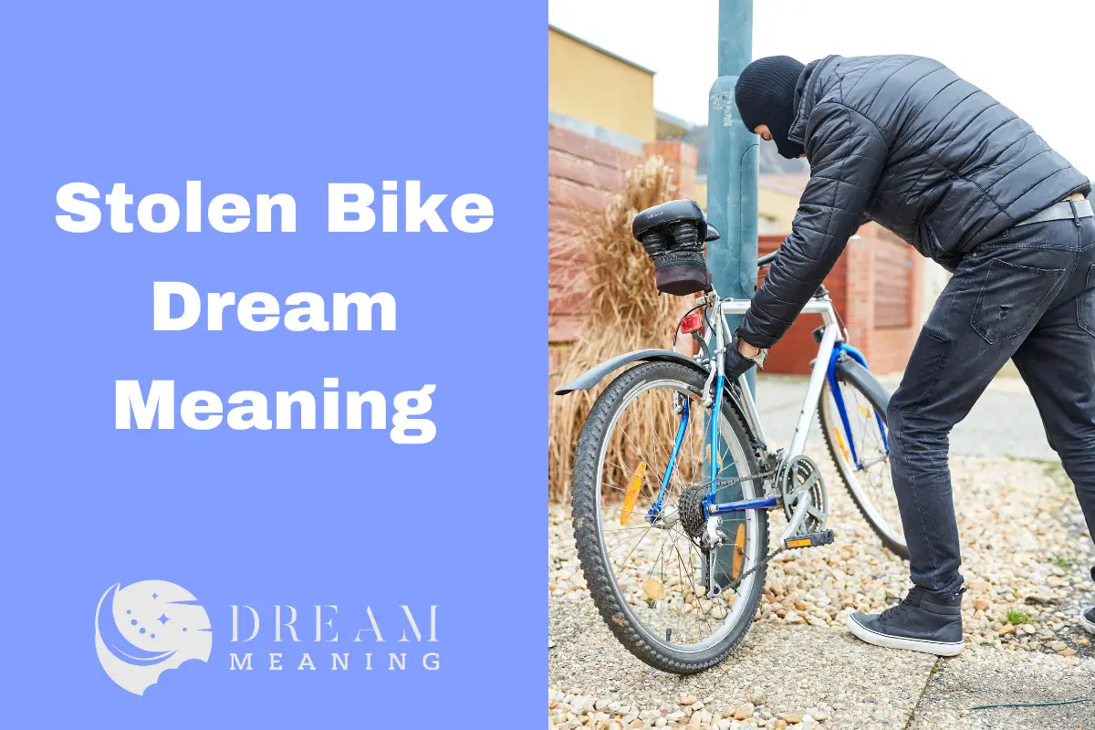 Stolen Bike Dream Meaning