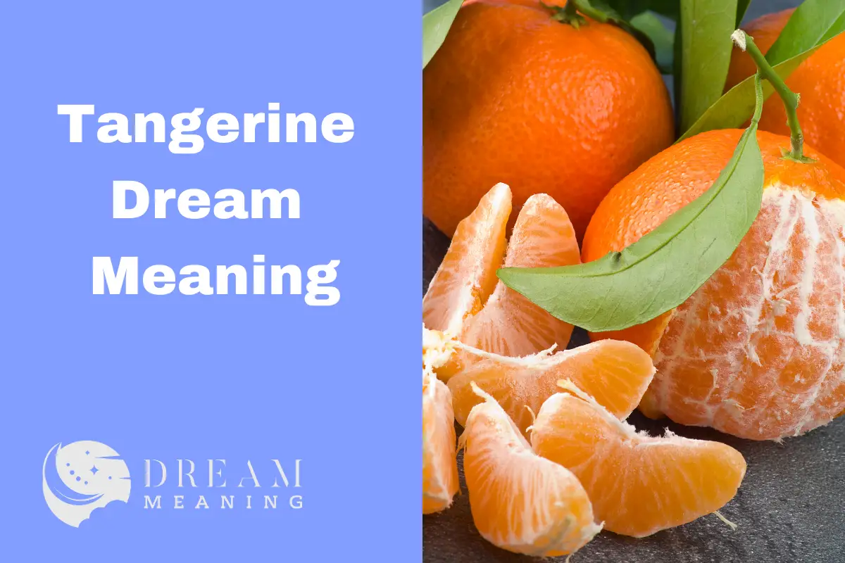 Tangerine Dream Meaning