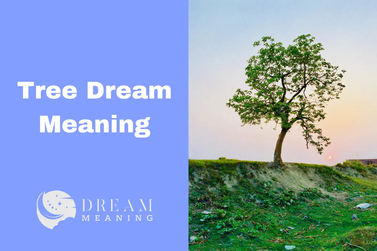 Tree Dream Meaning Uncovering The Hidden Symbolism Behind Your Dreams The Dream Meaning