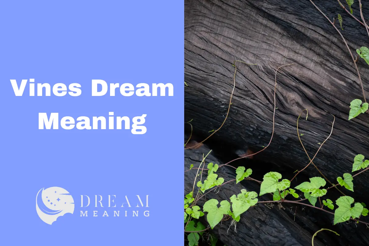 Dreaming About Vines? Here's What It Could Mean The Dream Meaning