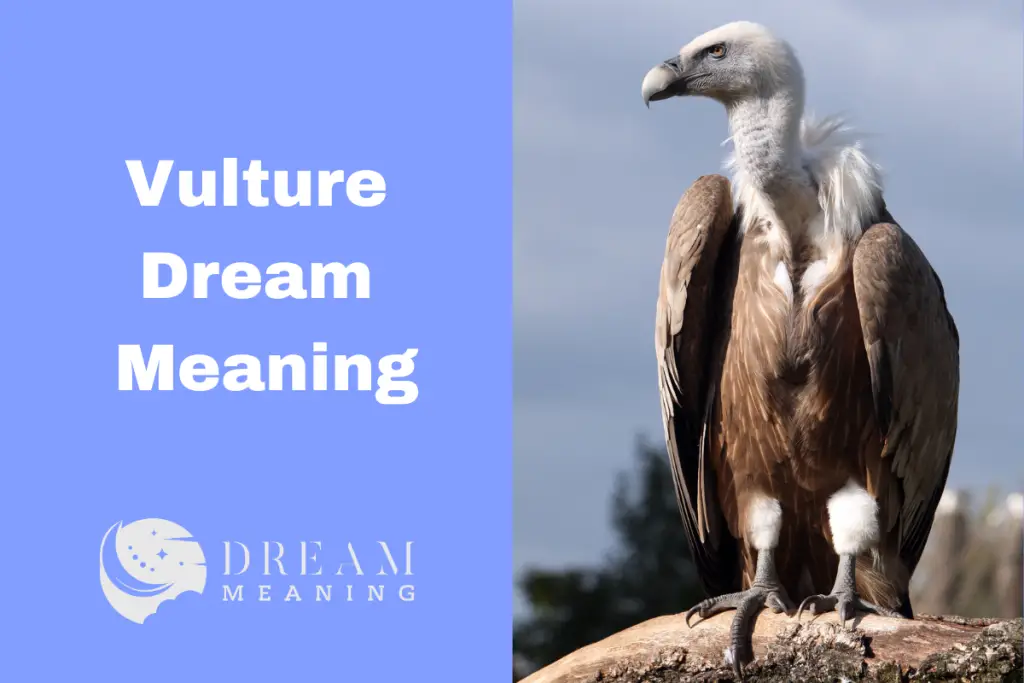 Dream Meaning Of Vultures What It Could Symbolize In Your Life The Dream Meaning