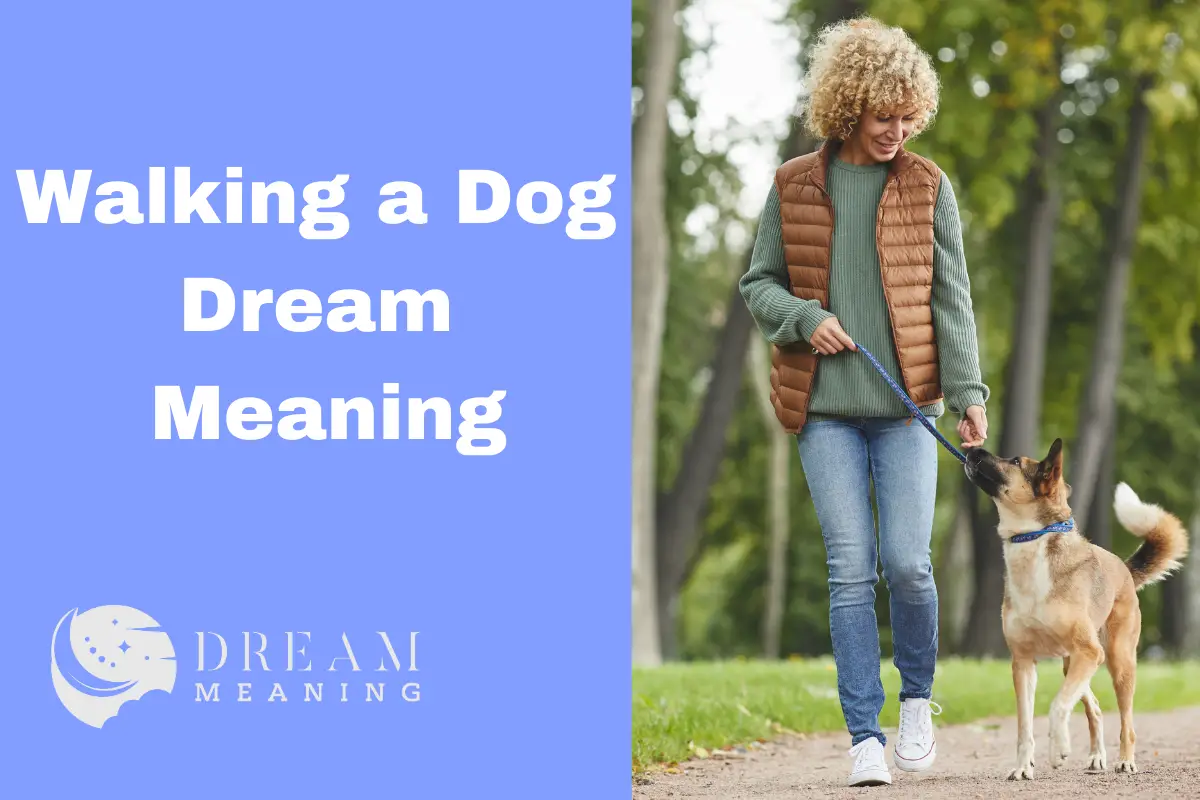 Walking a Dog Dream Meaning