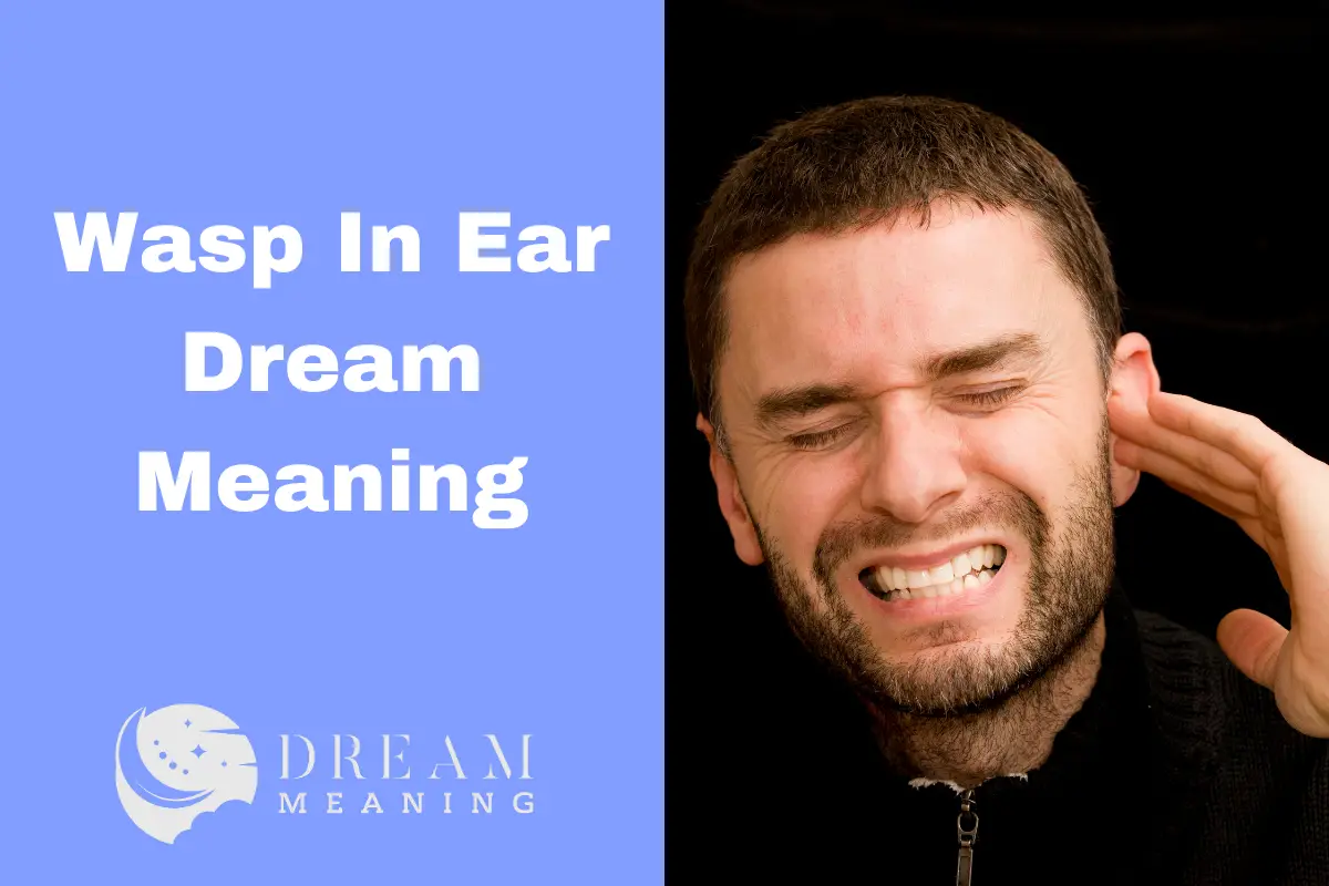 Dream Meaning of Wasp In Ear What It Could Mean For You The Dream