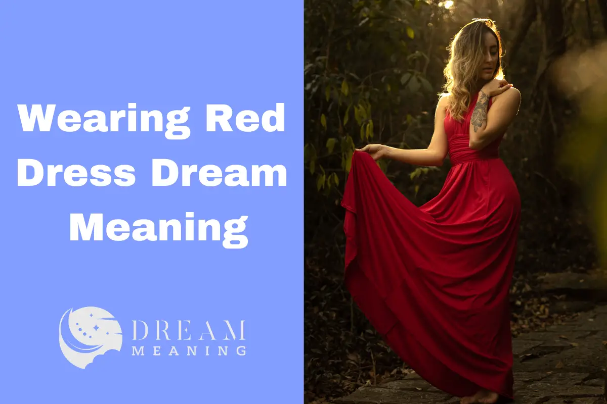 meaning of red dress in a dream