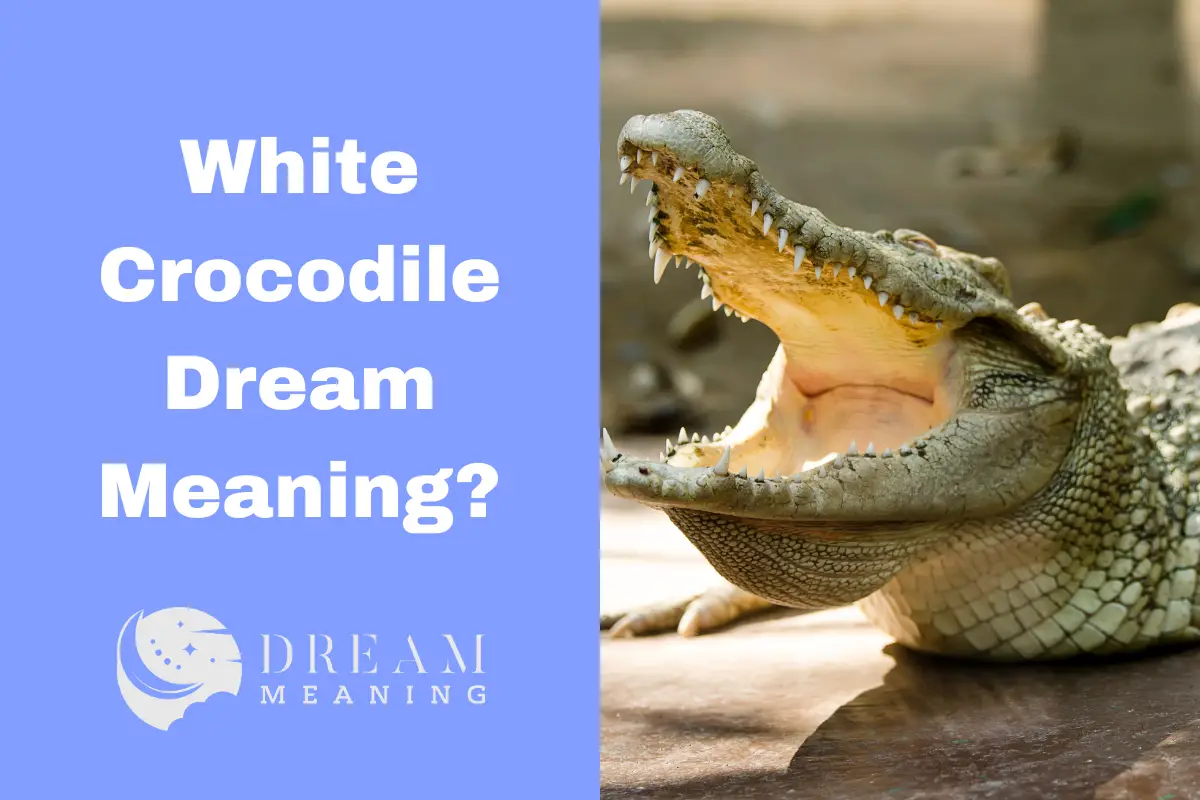 Understanding White Crocodile Dream Meaning All You Need To Know The Dream Meaning