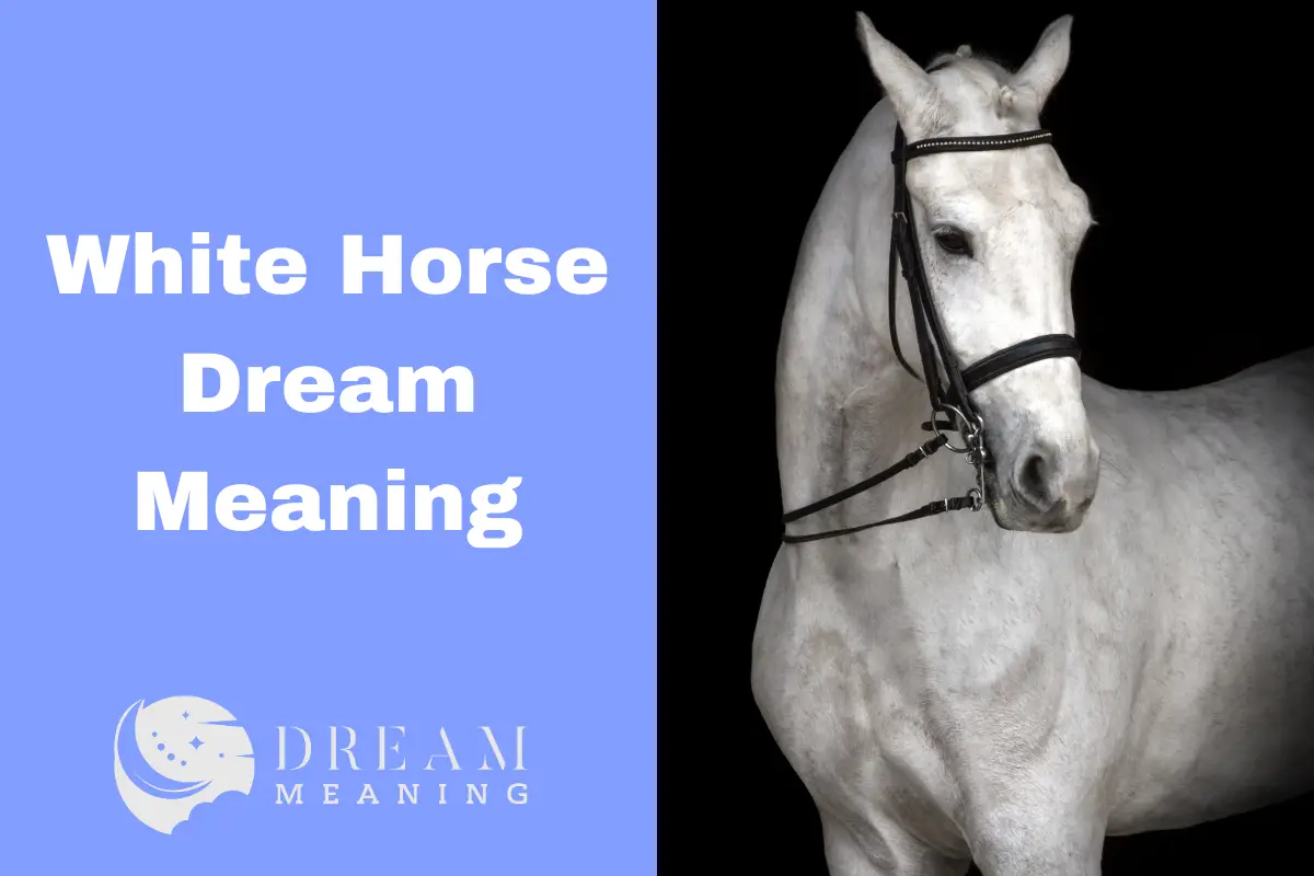 white-horse-dream-meaning-uncover-the-hidden-symbolic-significance