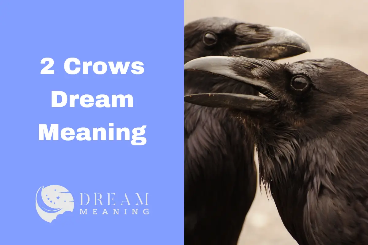 2 crows in dream meaning