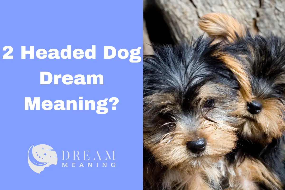 What Does It Mean To Dream Of A 2 Headed Dog? An Expert Explains The