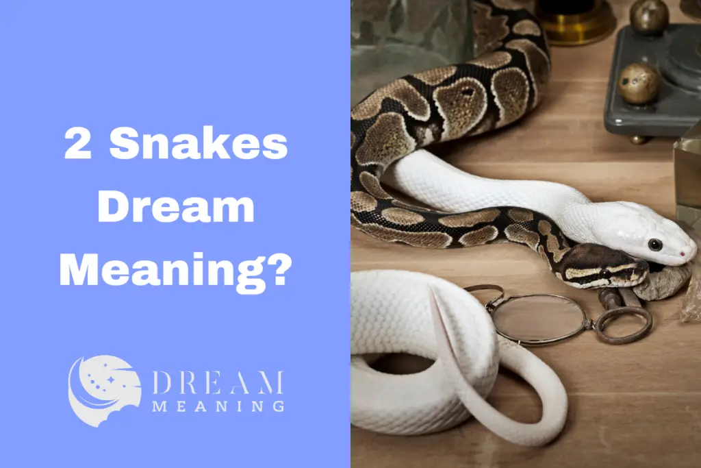 2 snakes in dream meaning