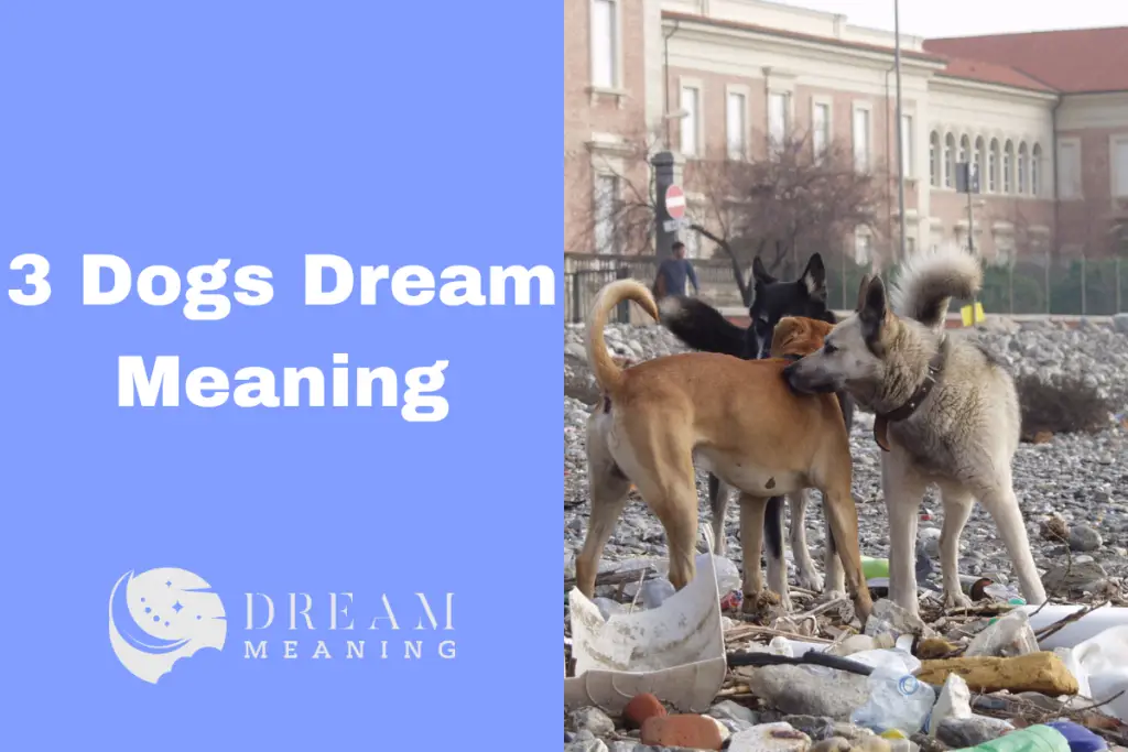 3 Dogs Dream Meaning What Does It Symbolize? Uncover The Secrets