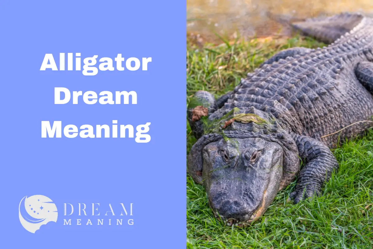 What Does It Mean When You Dream About Baby Alligators? - The Dream Meaning