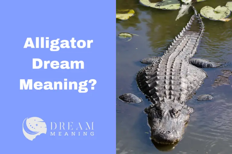 The Alligator In Your Dream Meaning What Does It Really Mean? The