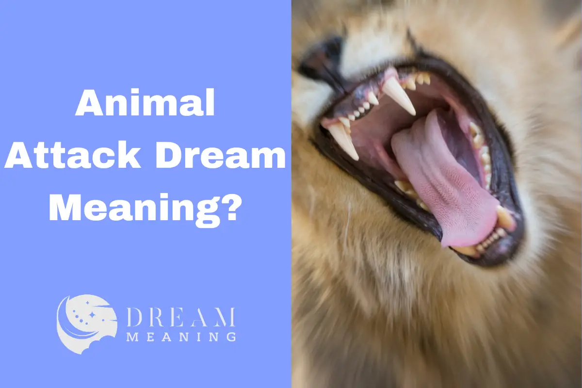 what-does-an-animal-attack-dream-mean-exploring-the-symbolism-behind