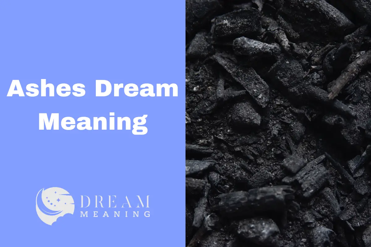 Ashes Dream Meaning