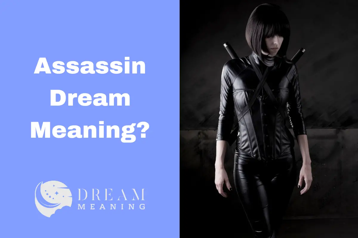 Assassin Dream Meaning