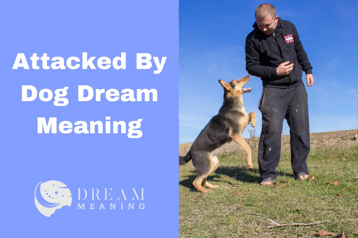 Understanding Dream Meaning What Does It Mean To Be Attacked By A Dog