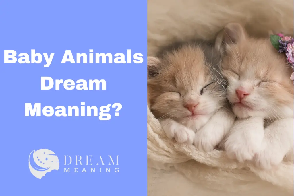 dreaming-of-baby-animals-discover-the-symbolic-meaning-behind-it-the