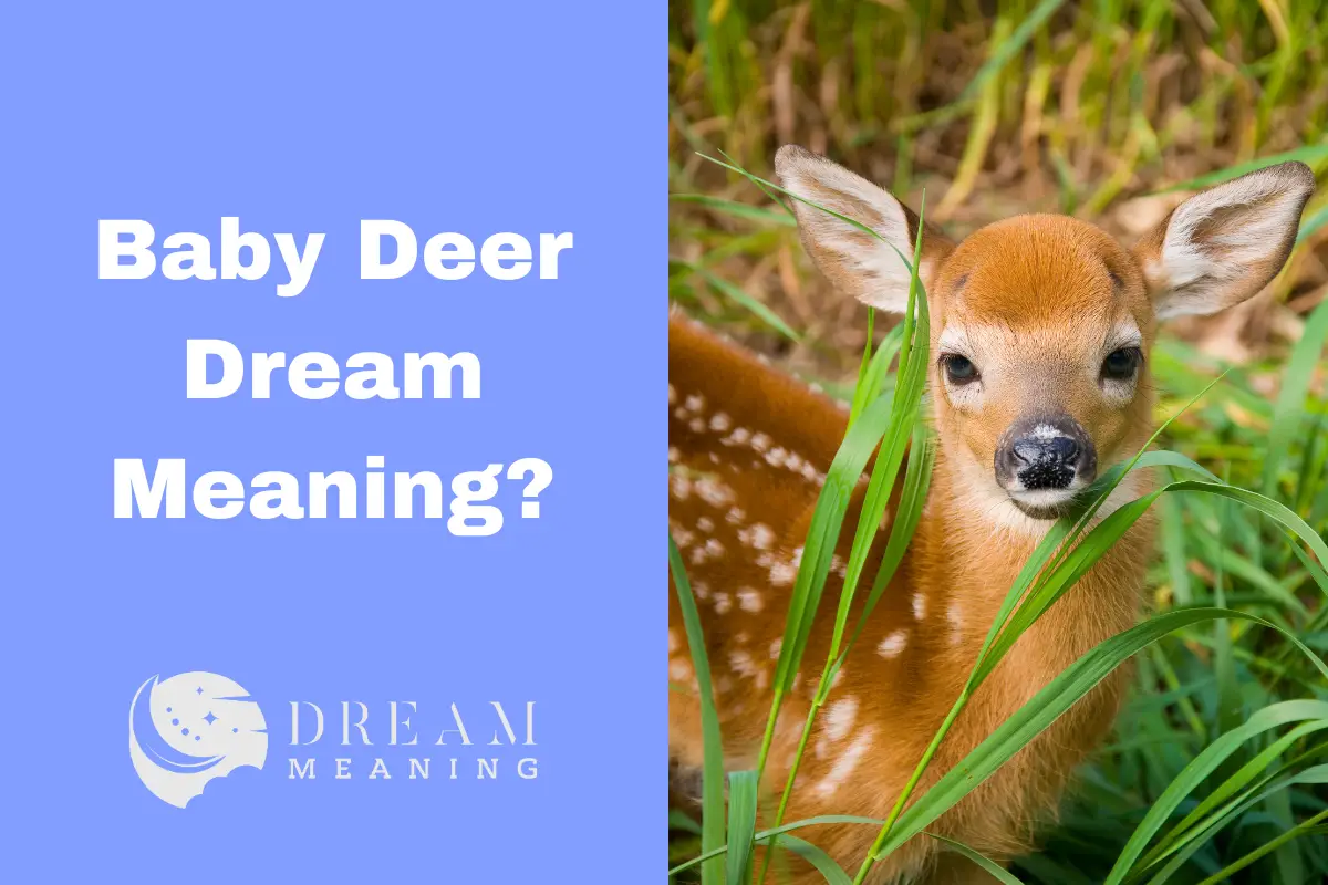 dream meaning of baby deer