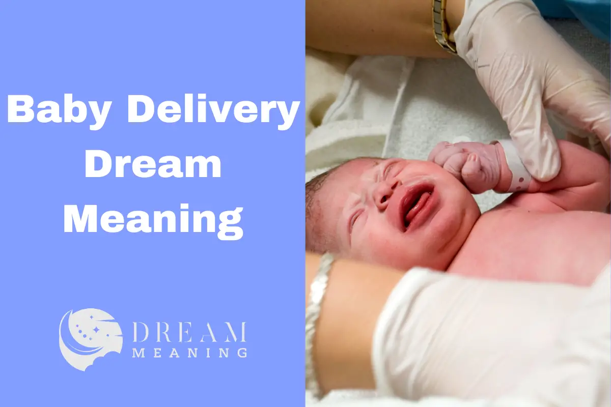 Baby Delivery Dream Meaning