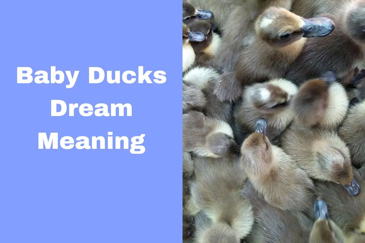 Baby Ducks Dream Meaning